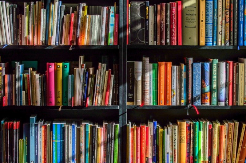magasin-ISOLA-min_books_bookstore_book_reading_shop_writer_sale_books_read-822866